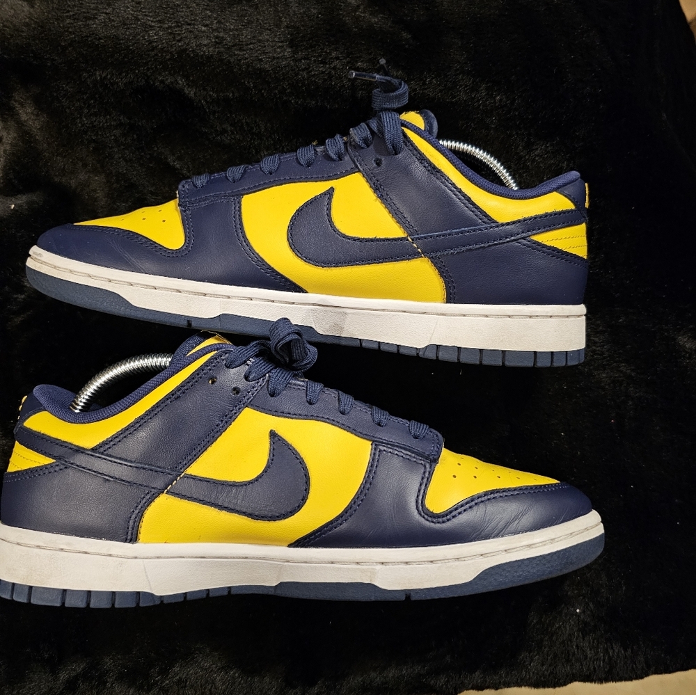 Nike dunk low michigan